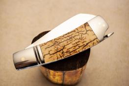 Native Tail Lock 01 1