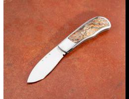 Crazy Lace Whalemouth