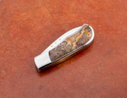 Crazy Lace Whalemouth