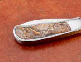 Crazy Lace Whalemouth